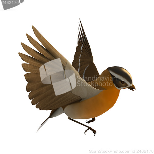 Image of Grosbeak