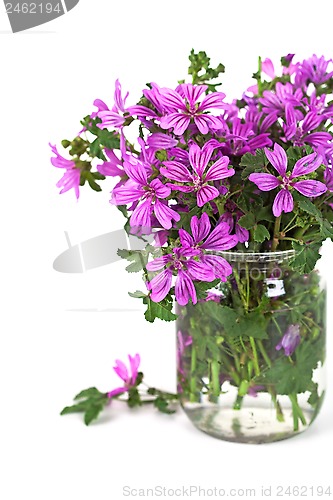 Image of wild violet flowers in glass jar