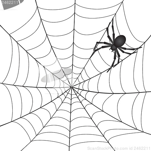 Image of Spiderweb with Spider