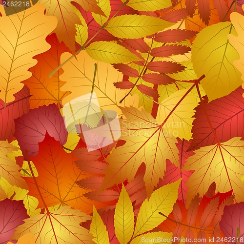 Image of seamless with autumn leaves