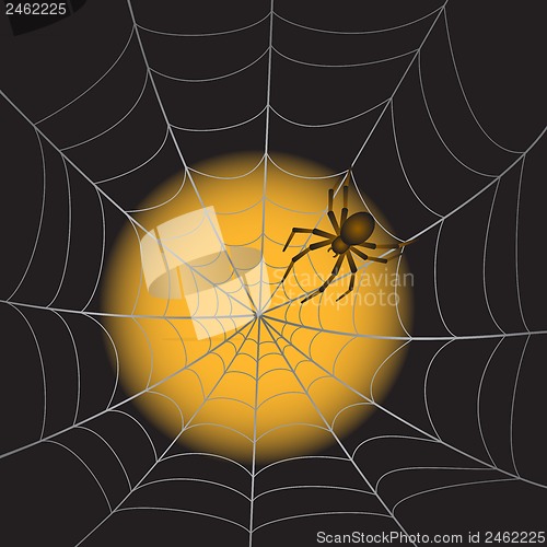 Image of Spiderweb with Spider