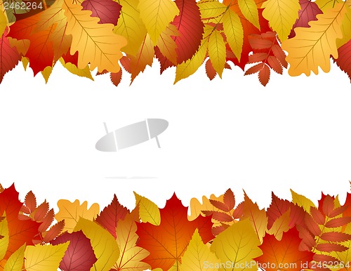 Image of seamless with autumn leaves