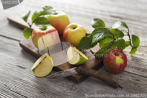 Image of Apples