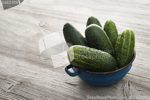 Image of Cucumbers