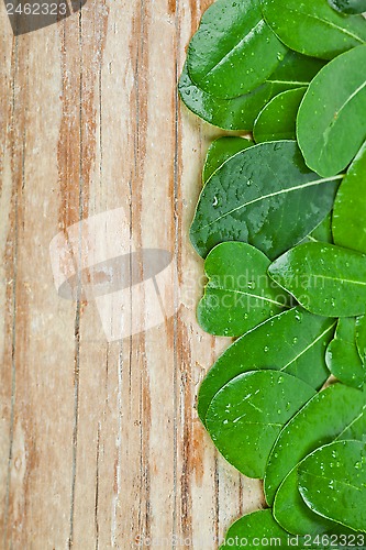 Image of leaves on rustic wooden background 