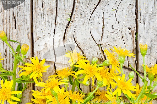 Image of yellow flowers on wooden background