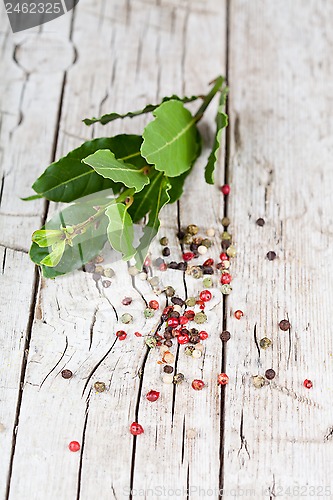 Image of twig of fresh laurel and peppercorns 