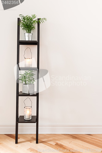 Image of Shelf with plants and lanterns