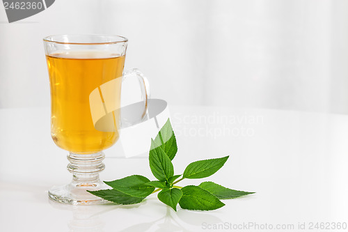 Image of Tea and fresh mint