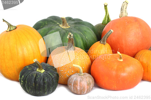 Image of Pumpkins isolated