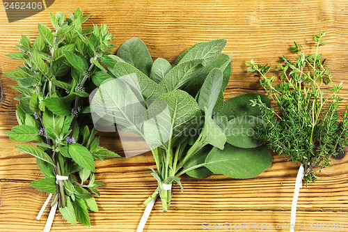 Image of Fresh herbs