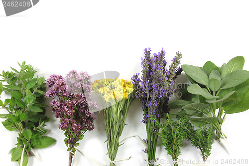 Image of Fresh herbs