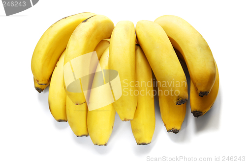 Image of Bunch of Bananas