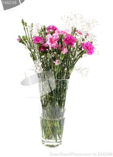Image of Vase of beautiful flowers