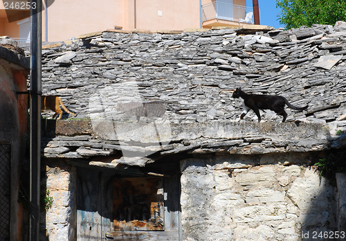 Image of On the Catwalk II.