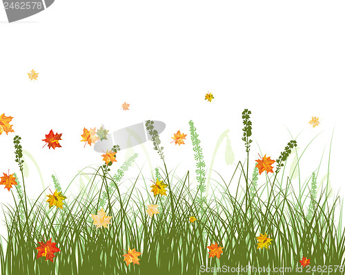 Image of Meadow autumn background