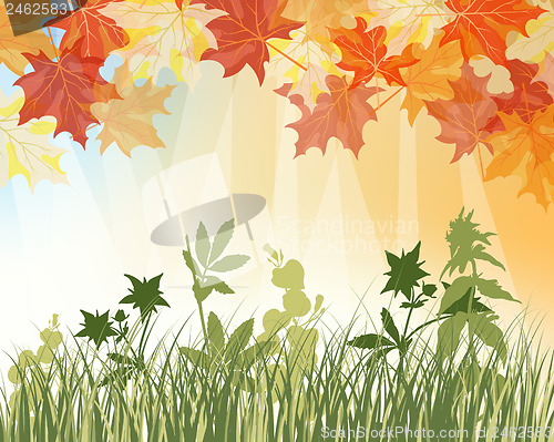 Image of Meadow autumn background