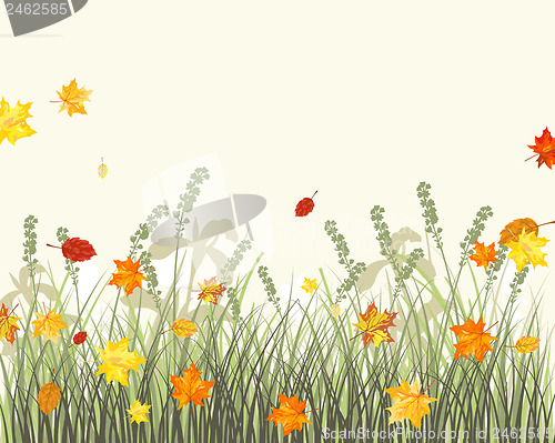 Image of Meadow autumn background
