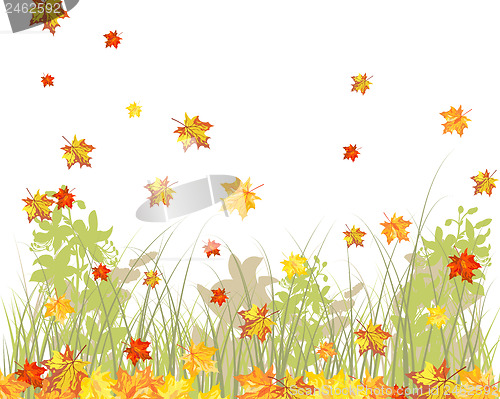 Image of Meadow autumn background