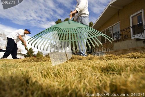 Image of Lawn maintenance