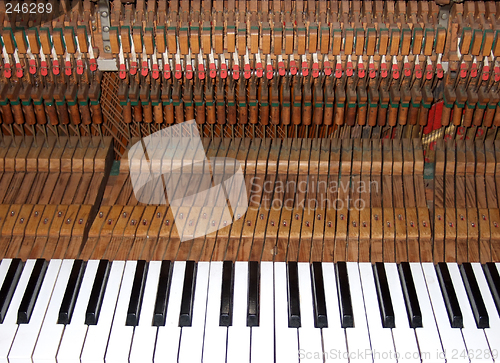 Image of Inside the piano