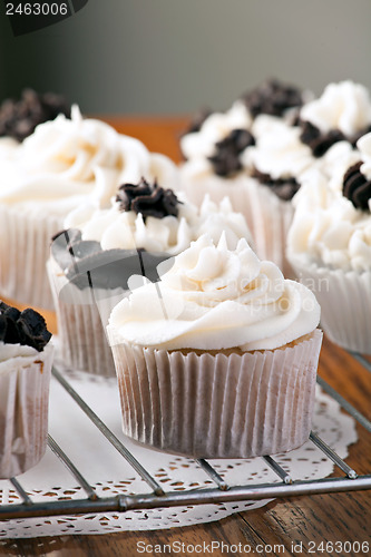 Image of Delicious Gourmet Cupcakes