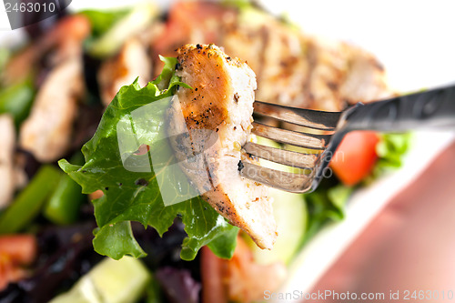 Image of Delicious Grilled Chicken Salad