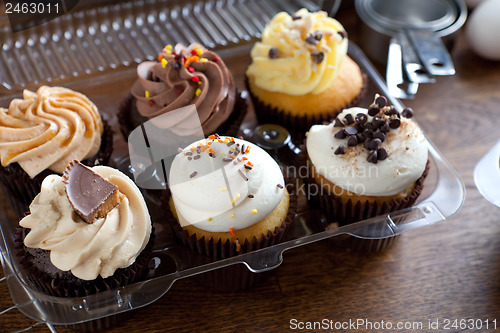 Image of Gourmet Cupcakes in Package