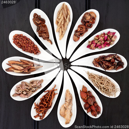 Image of Chinese Healing Herbs