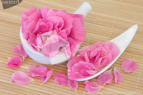 Image of Rose Petal Flowers