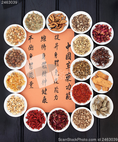 Image of Chinese Healing Herbs