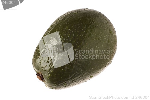 Image of avocado