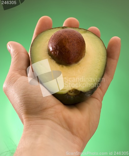 Image of avocado