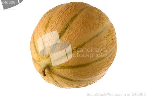 Image of melon