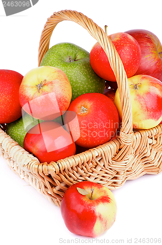 Image of Autumn Apples