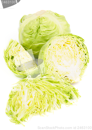 Image of Cabbage