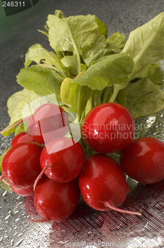 Image of radish