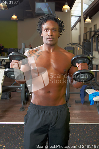 Image of Portrait of man exercising in gym