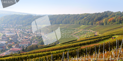 Image of Hohenlohe