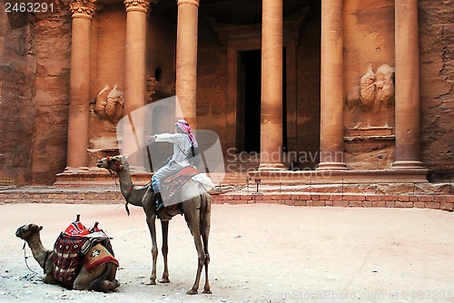 Image of Camels in front of Al Khazneh, Petra