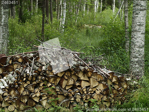 Image of firewood