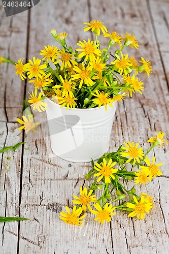 Image of wild yellow flowers in bucket 