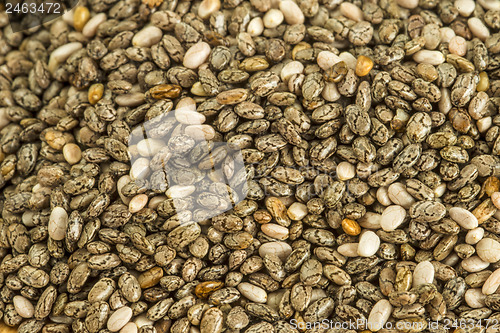 Image of Chia seeds, Salvia hispanica