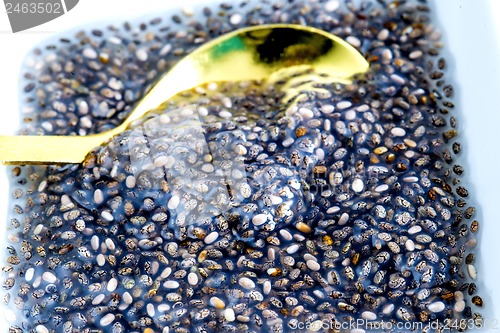 Image of Chia seed gelatin for diet