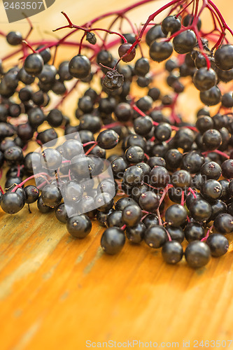 Image of elder berries