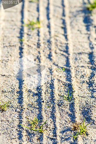 Image of Tracks in sand