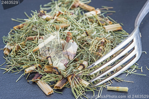 Image of horse's tail, Equisetum arvense, medicinal plant