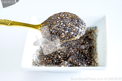 Image of Chia seed gelatin for diet