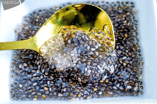 Image of Chia seeds gelatine, Salvia hispanica