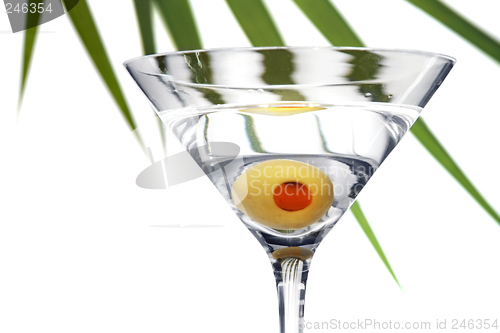 Image of Foliage Martini